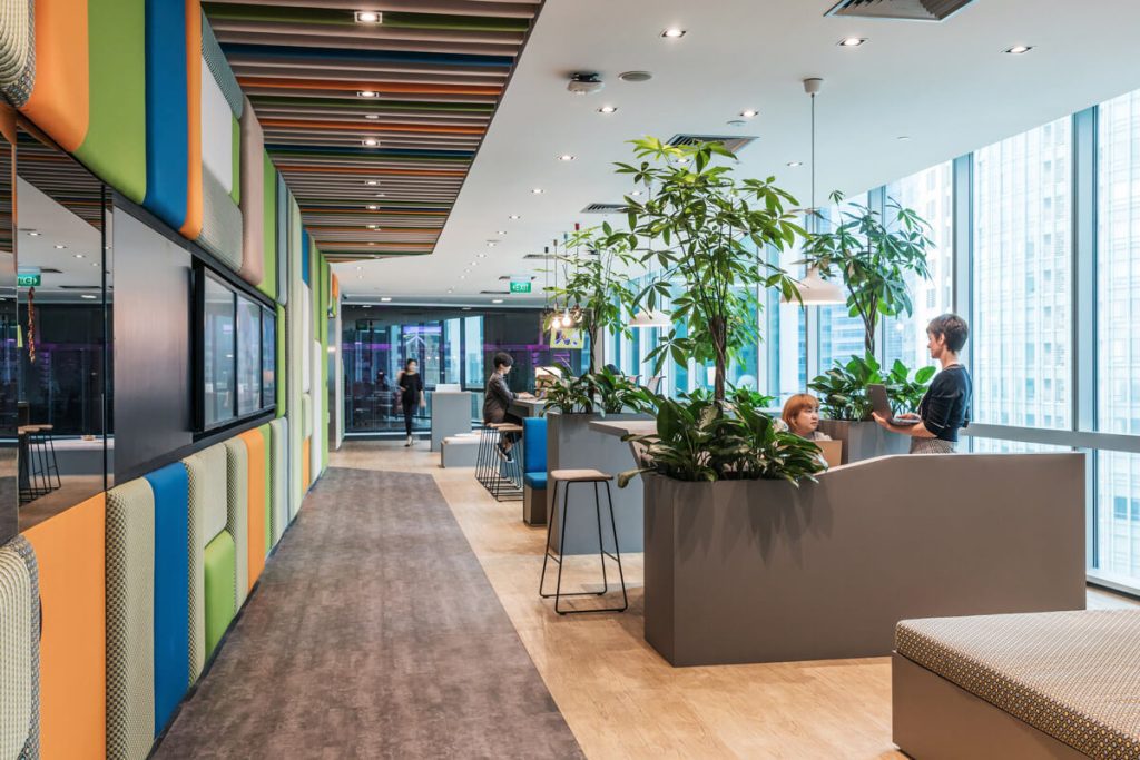 microsoft old office with big windows